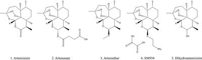 The Therapeutic Effect of Artemisinin and Its Derivatives in Kidney Disease